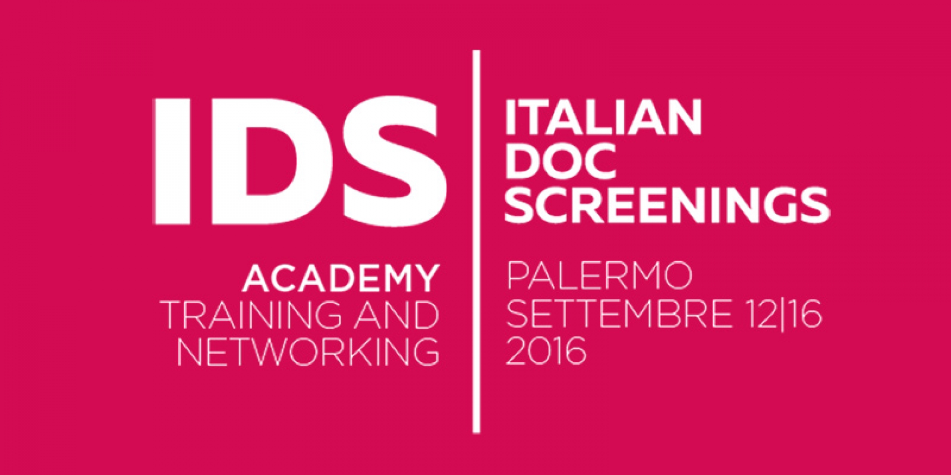IDS Academy 2016 – Call for projects and rough-cuts