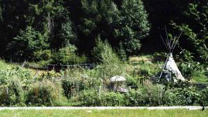 WALDEN, oder Leben in den Bergen